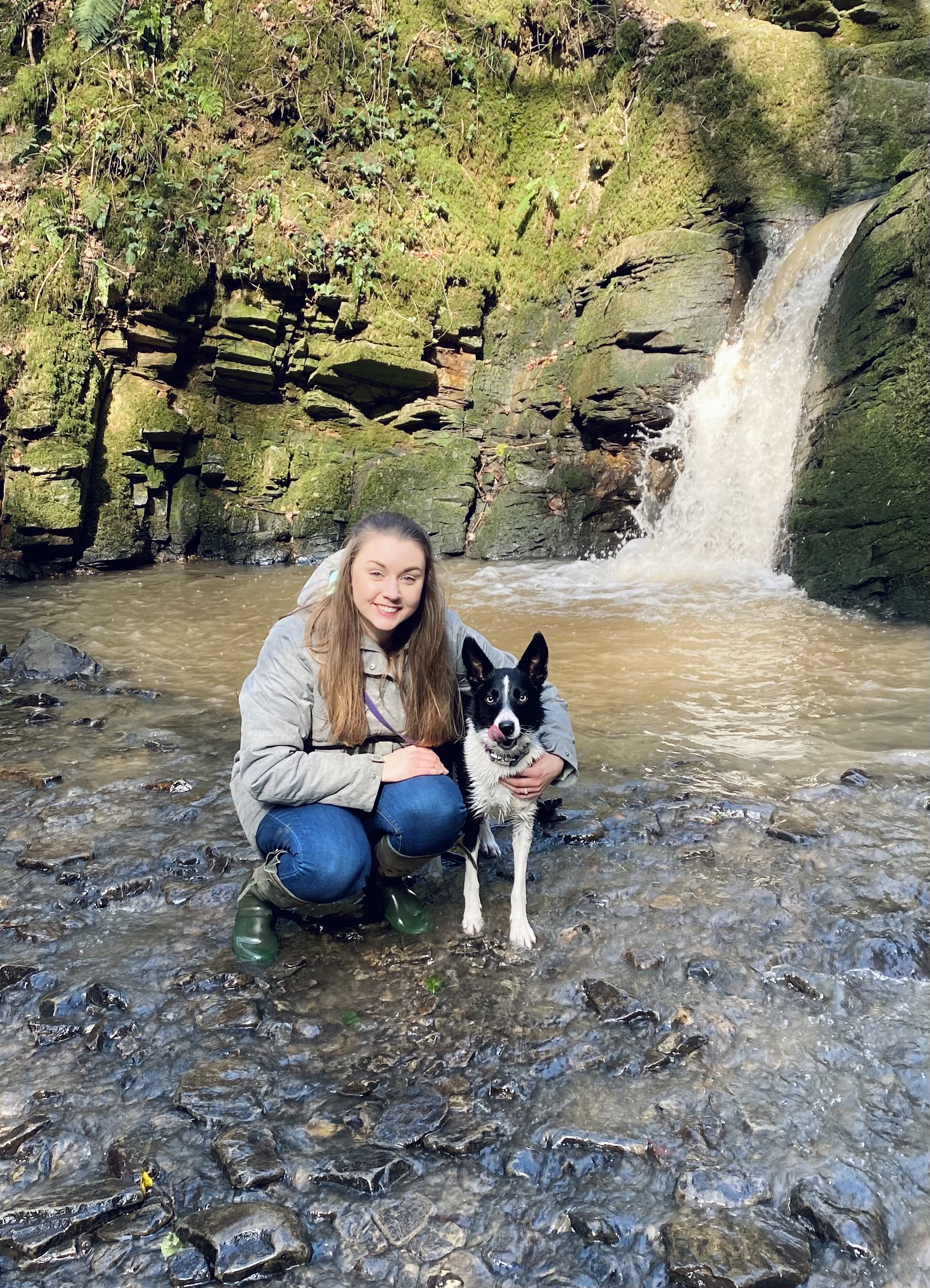 Out walking with a black-and-white collie by a woodland waterfall